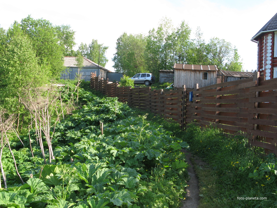 Выльгорт 2014