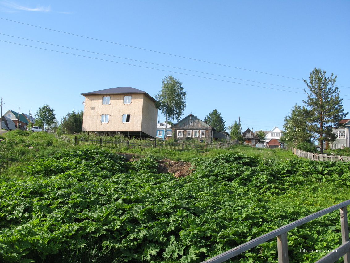 Выльгорт 2014