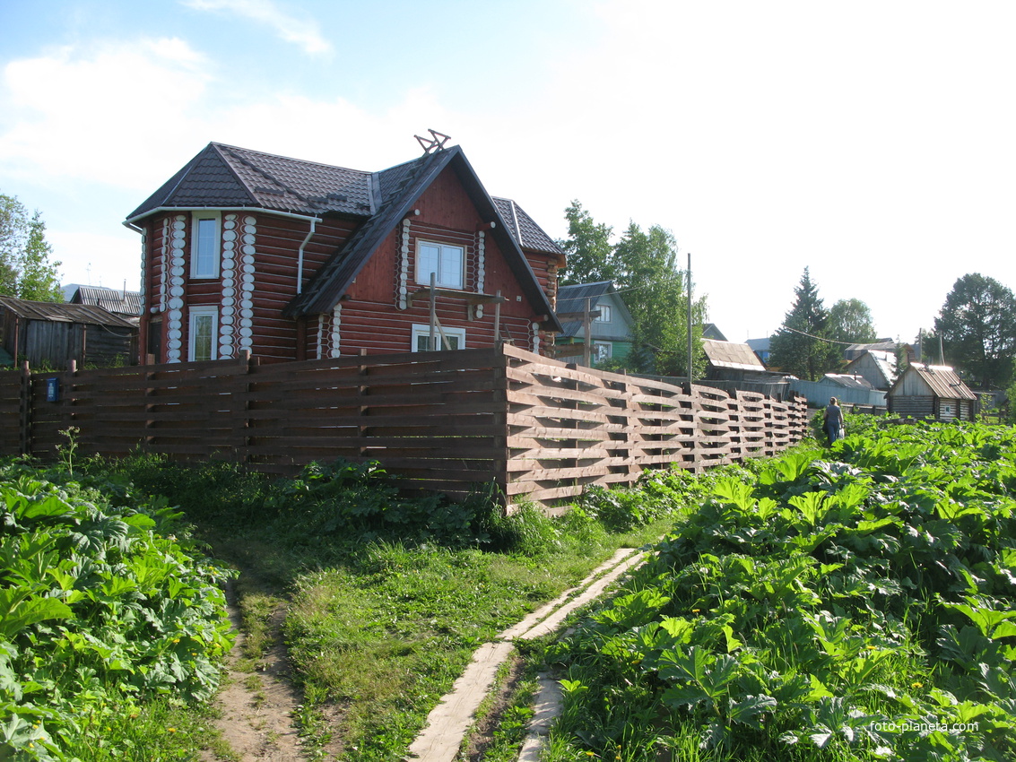 Выльгорт 2014