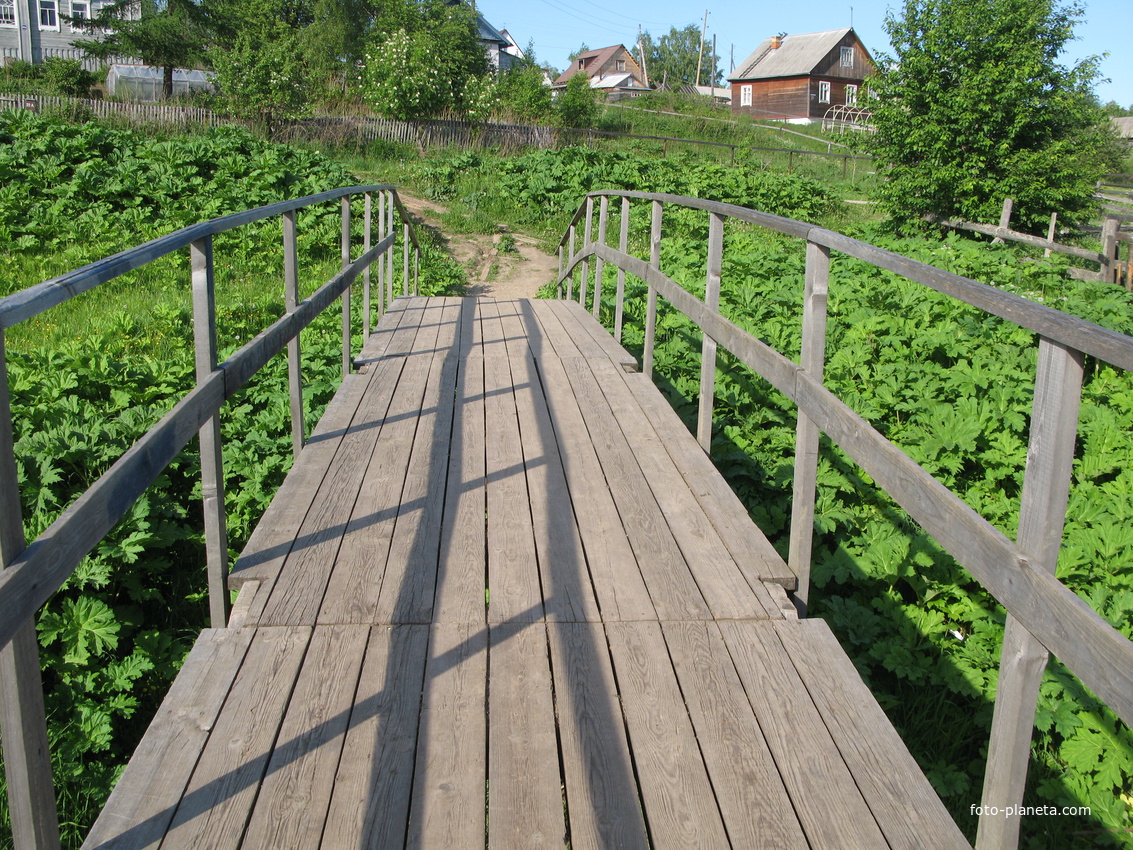 Выльгорт 2014