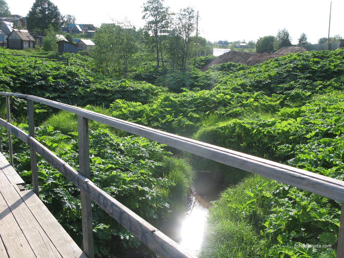 Выльгорт 2014