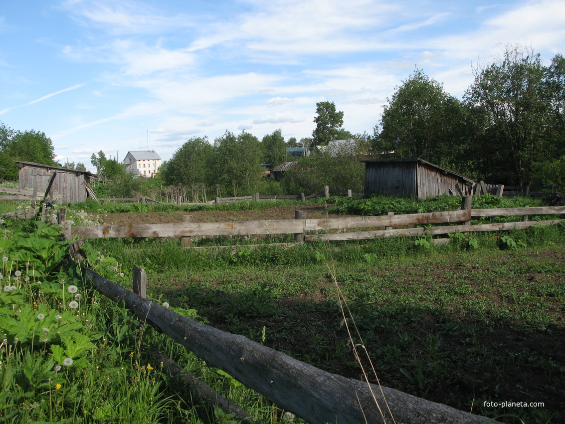 Выльгорт 2014