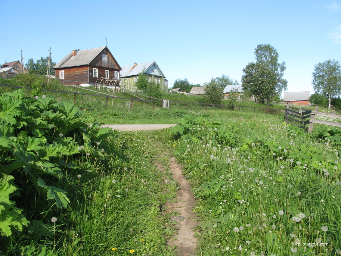 Выльгорт 2014