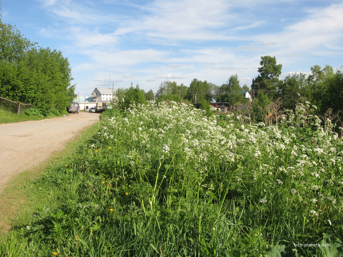 Выльгорт 2014