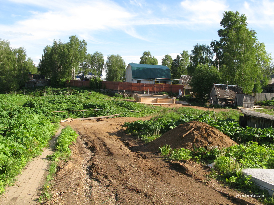 Выльгорт 2014