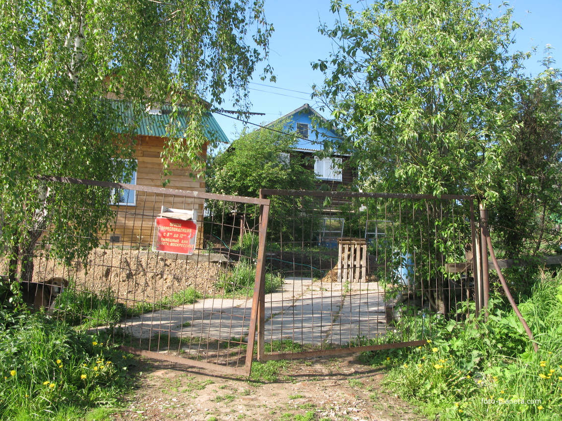 Выльгорт 2014