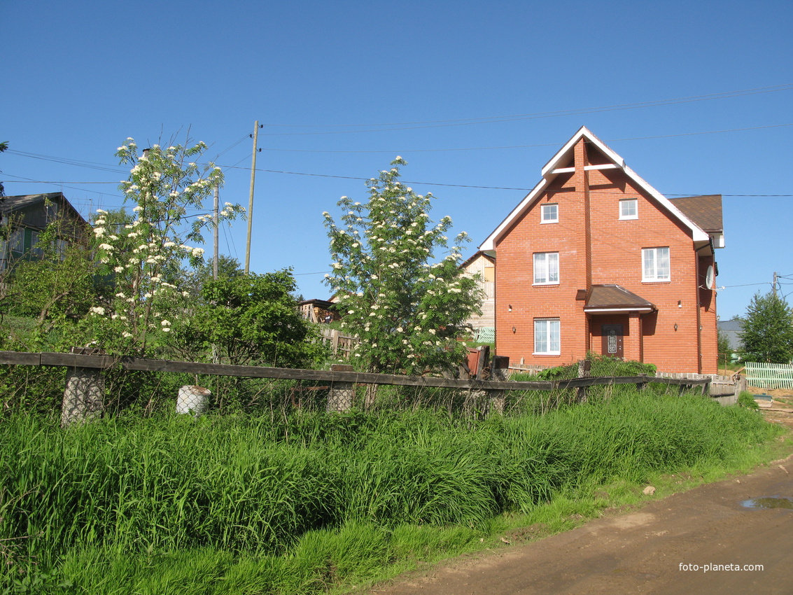 Выльгорт 2014