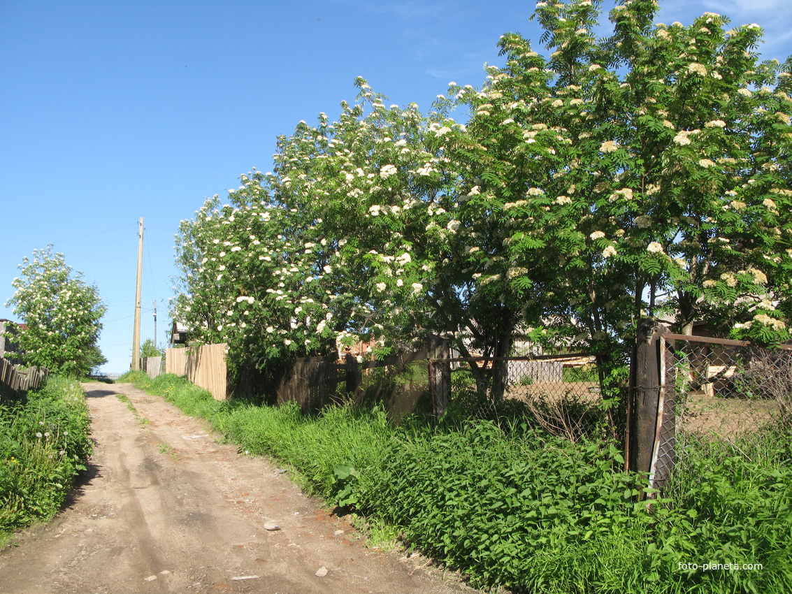 Выльгорт 2014