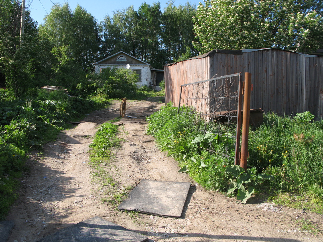 Выльгорт 2014 - ул. Полевая