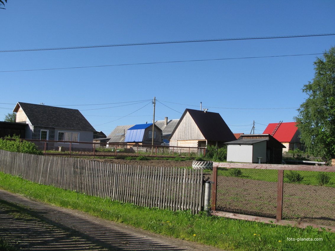 Выльгорт 2014