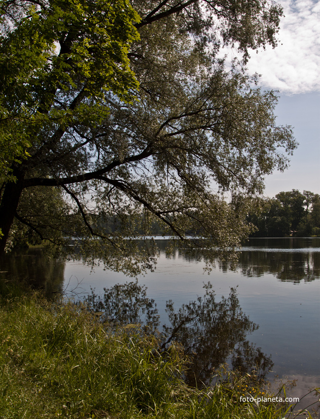 Екатерининский парк