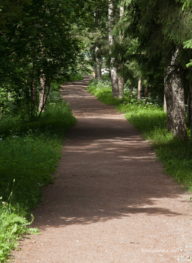 Дорожка в парке