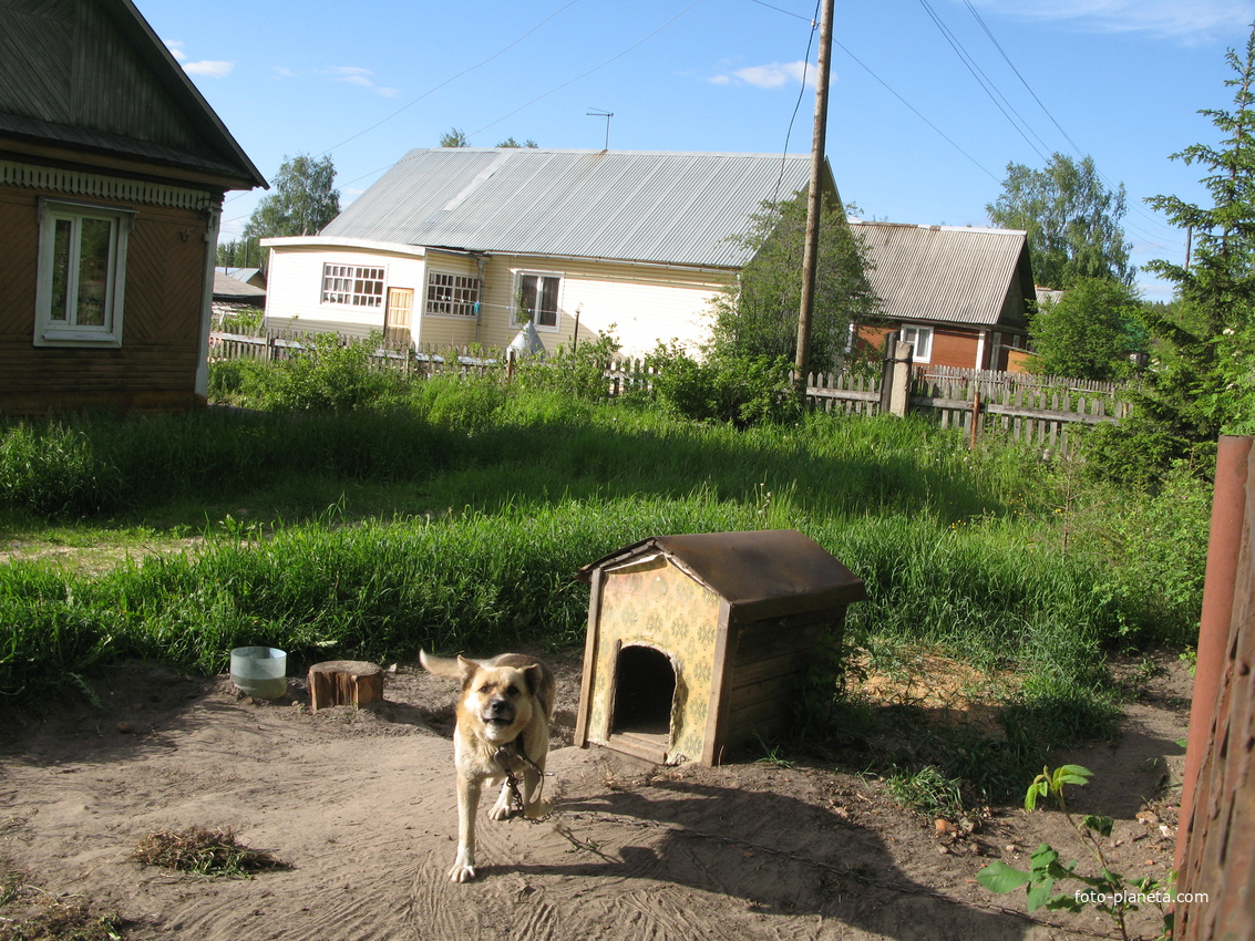 пос. Краснозатонский (Сыктывкар) 2014 - ул. Трактовая