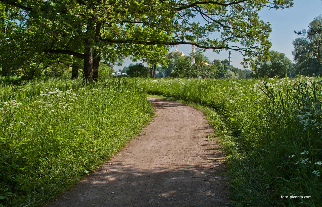 Дорожка в парке