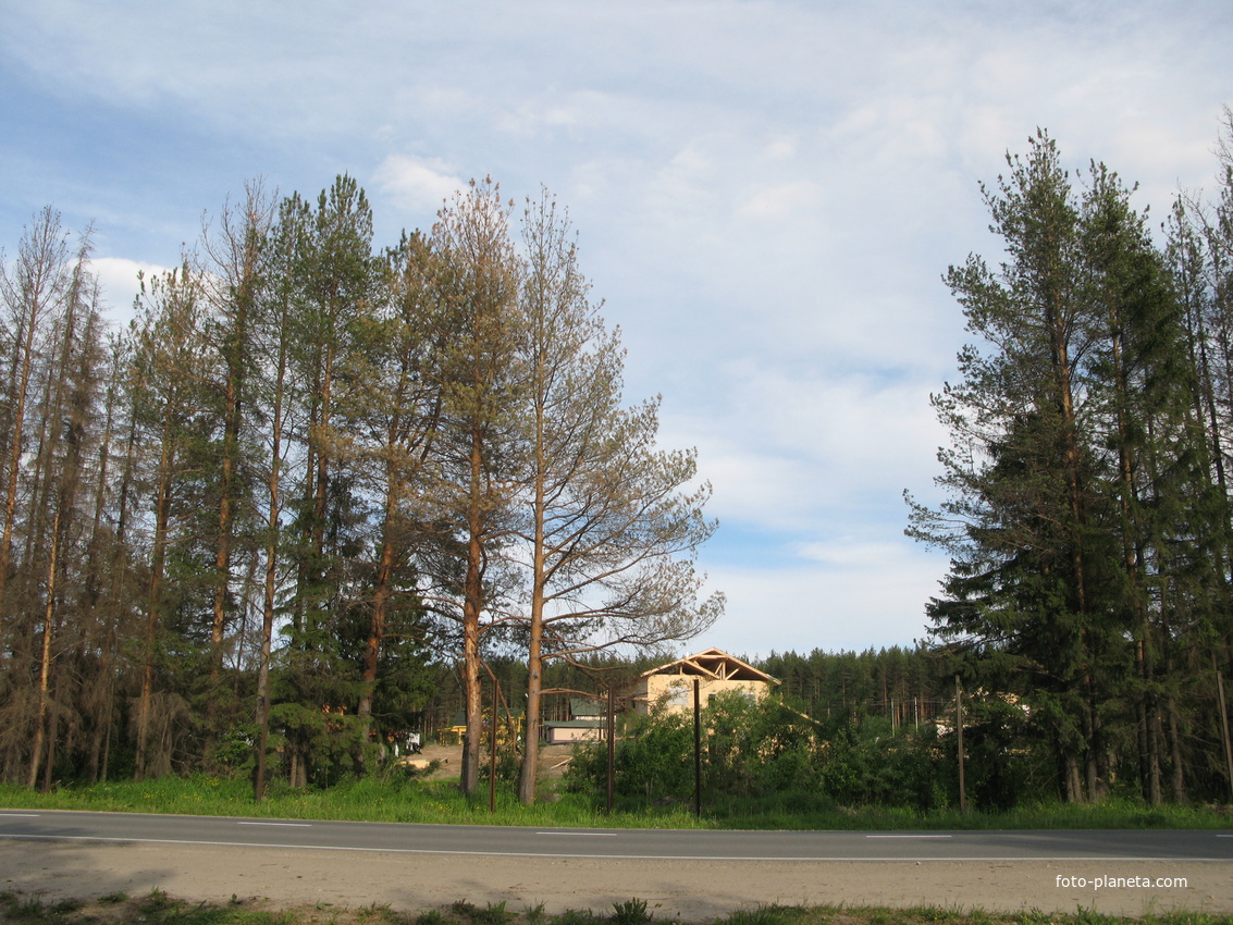 пос. Краснозатонский (Сыктывкар) 2014 - ул. Трактовая