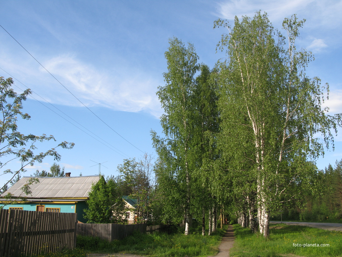 пос. Краснозатонский (Сыктывкар) 2013 - ул. Трактовая