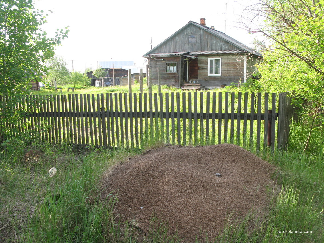 пос. Краснозатонский (Сыктывкар) 2014 - ул. Трактовая