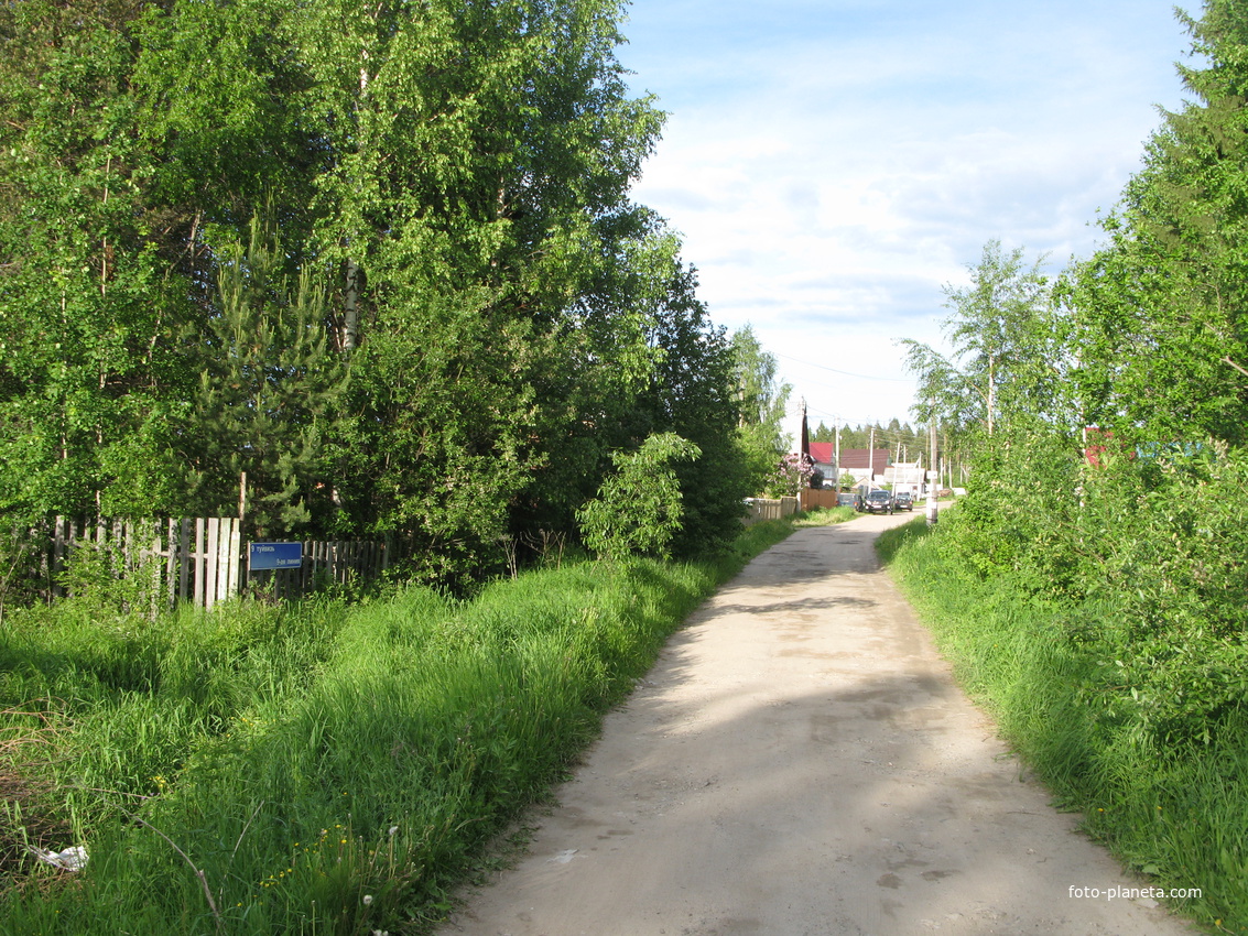 пос. Краснозатонский (Сыктывкар) 2014