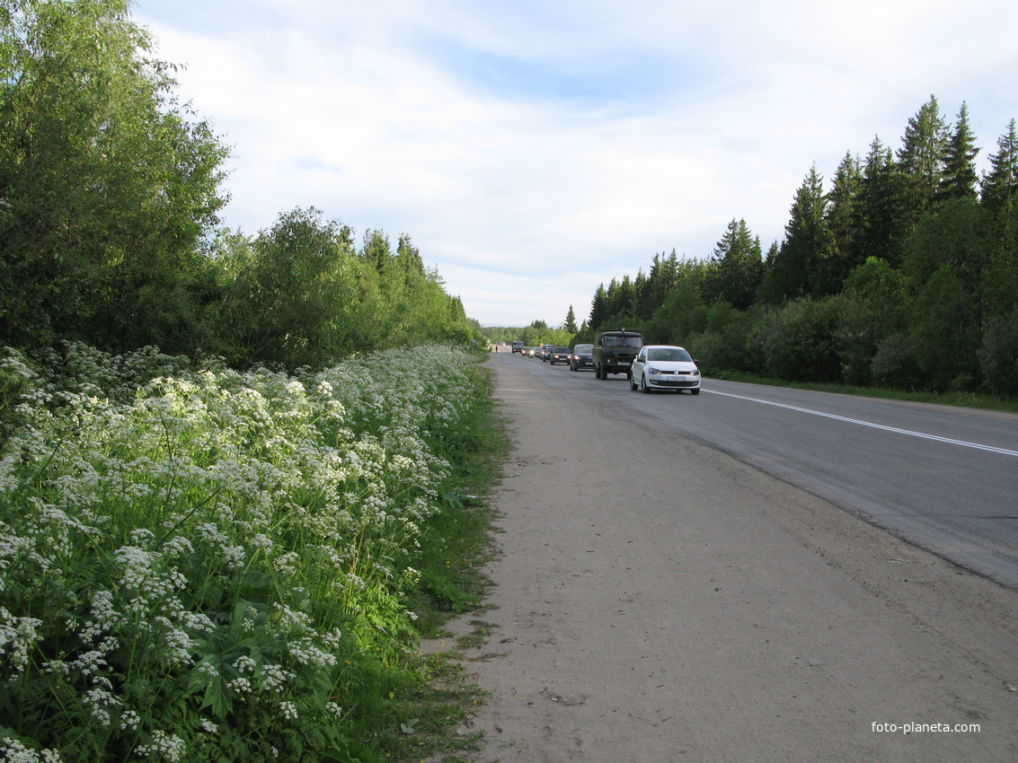 пос. Краснозатонский (Сыктывкар) 2014