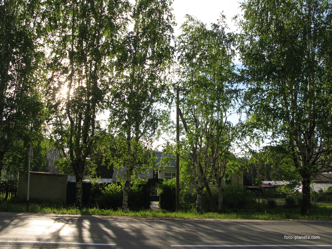 пос. Краснозатонский (Сыктывкар) 2014 - ул. Трактовая