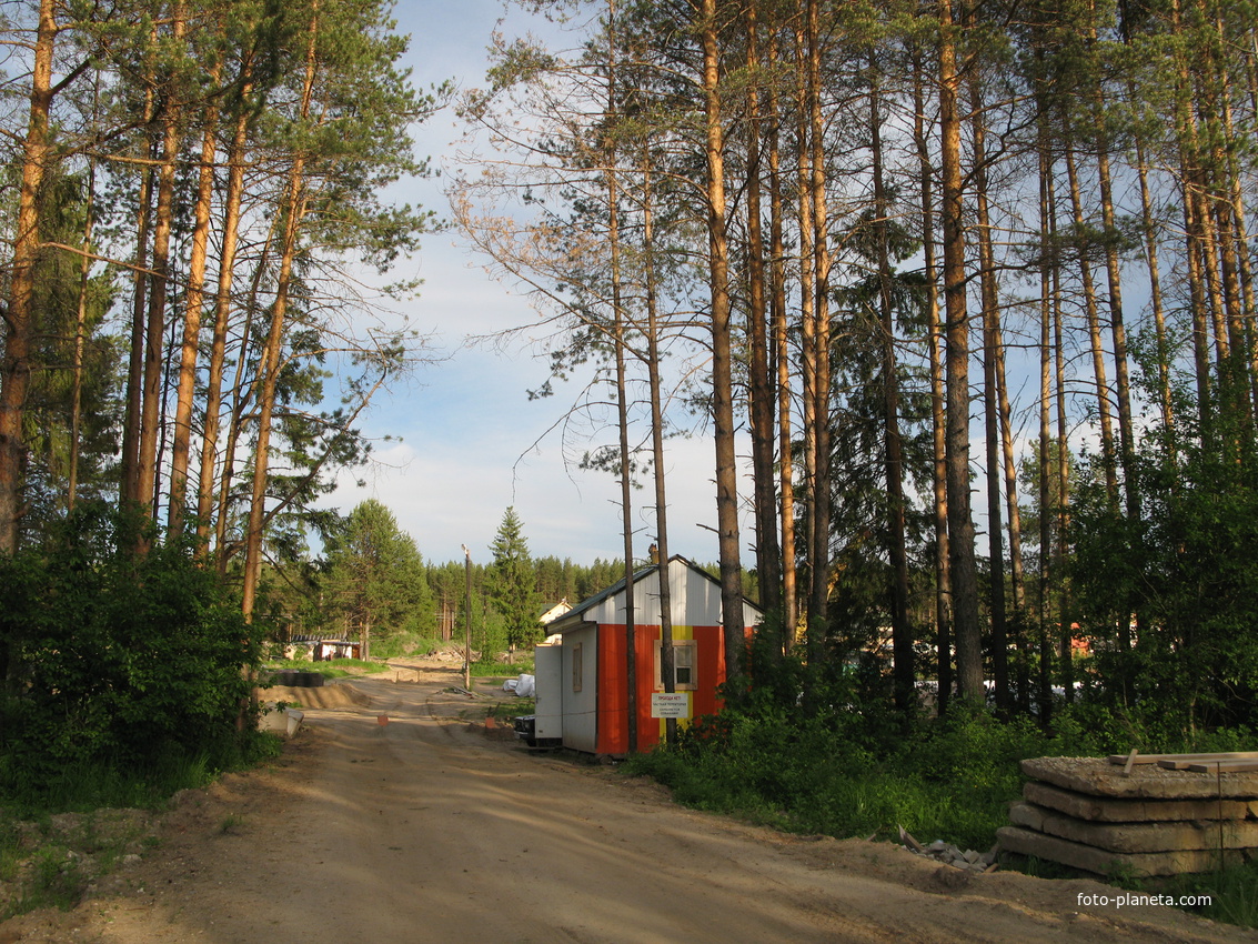 пос. Краснозатонский (Сыктывкар) 2014 - ул. Трактовая