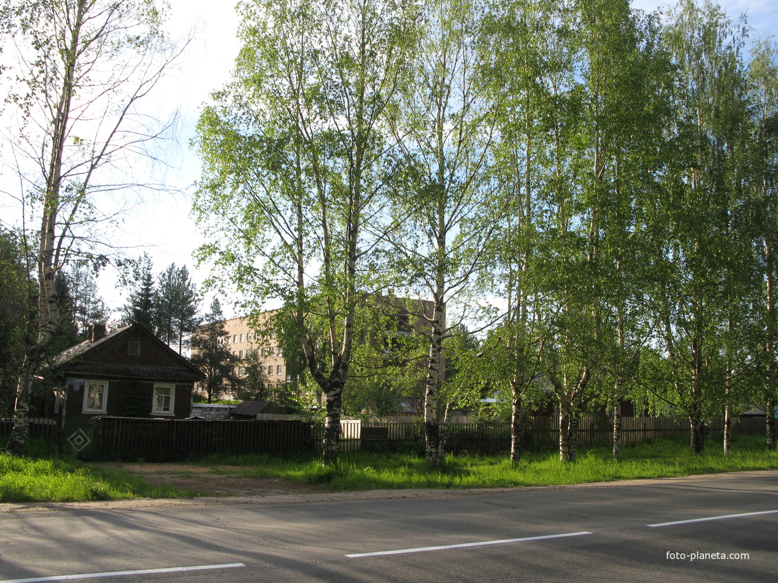 пос. Краснозатонский (Сыктывкар) 2014 - ул. Трактовая