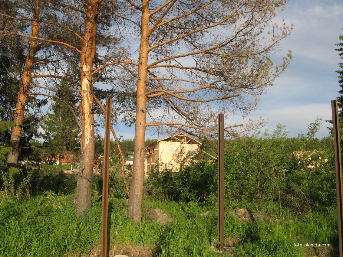 пос. Краснозатонский (Сыктывкар) 2014 - ул. Трактовая