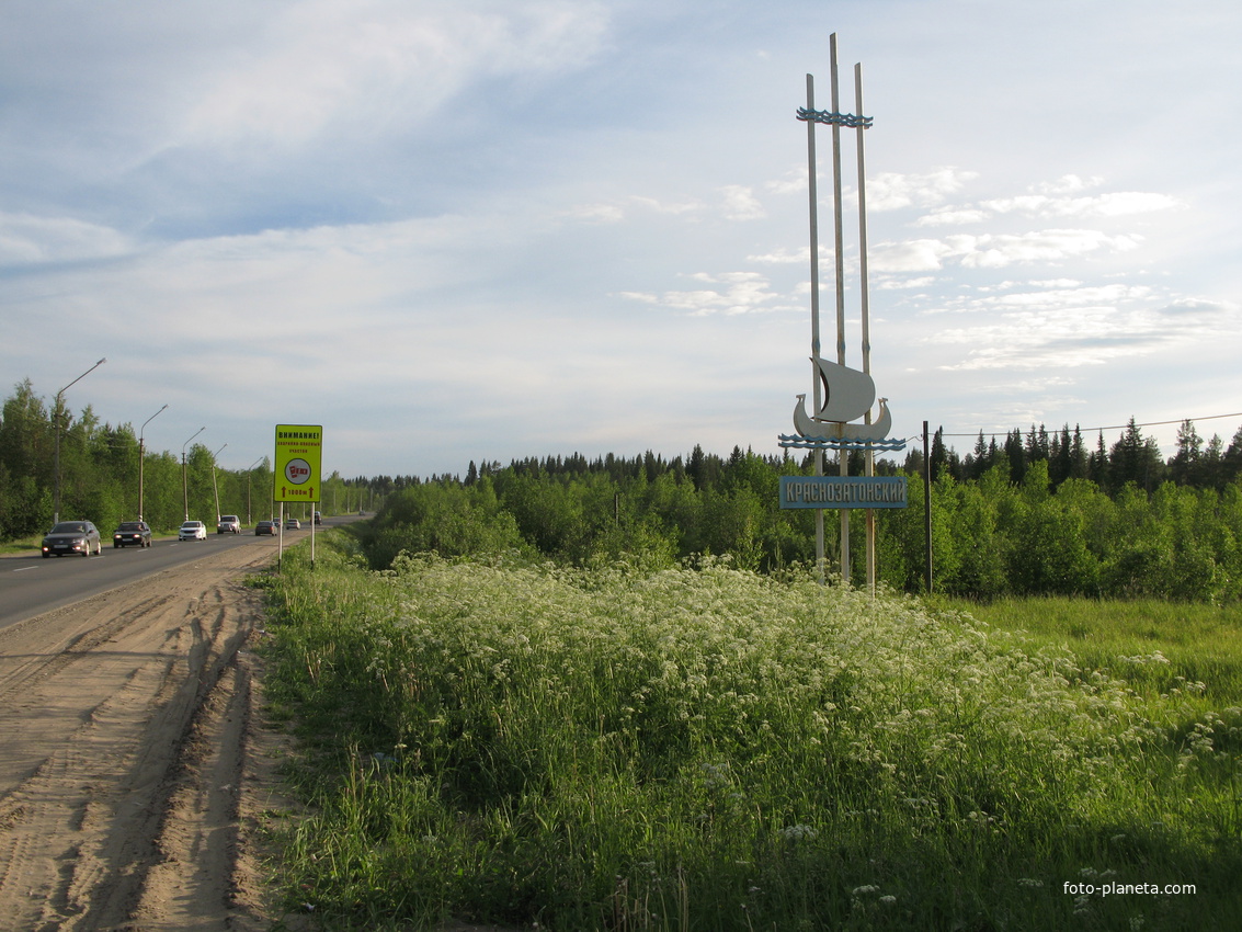 пос. Краснозатонский (Сыктывкар) 2014 - ул. Трактовая