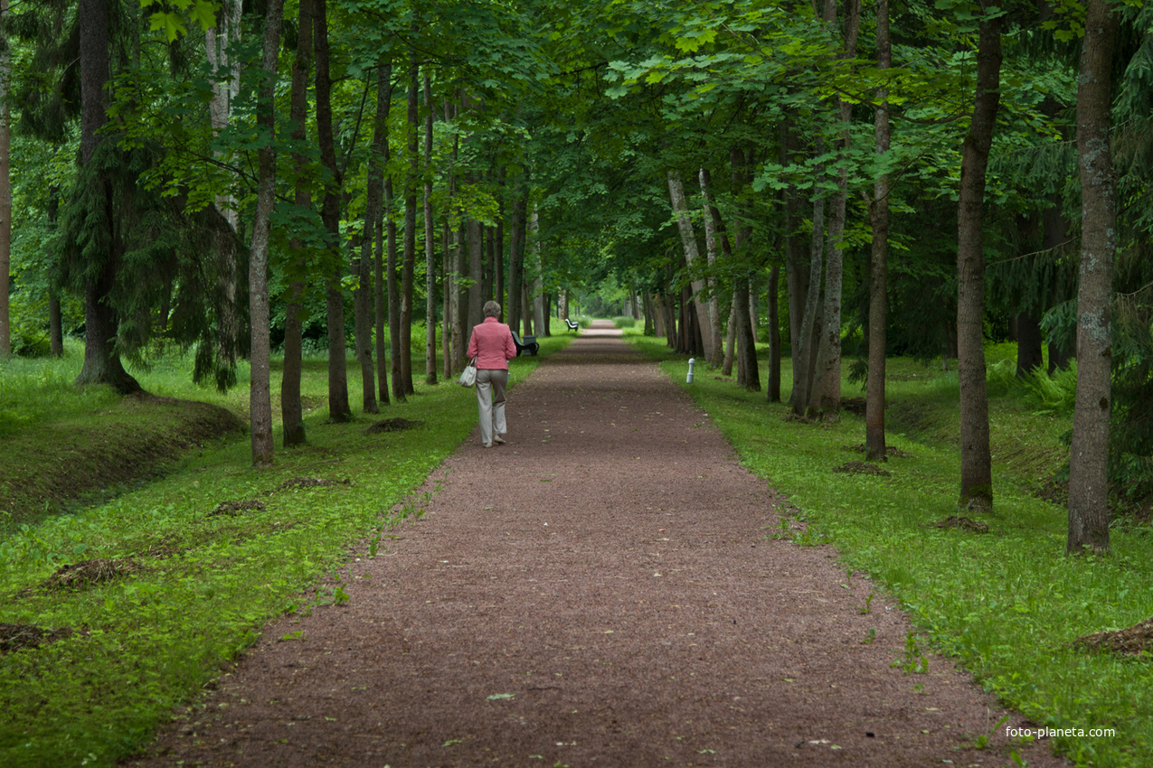 Аллея в Верхнем парке