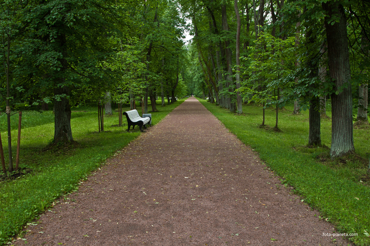 Аллея в Верхнем парке