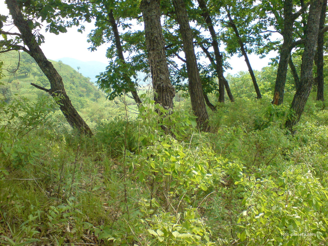 Две крепости. Шекляевская и Круглая.