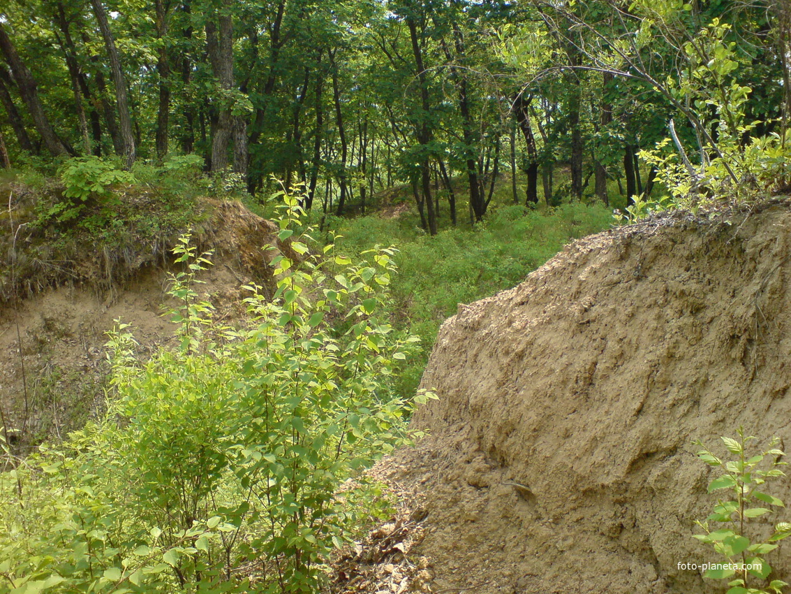 Шекляевская крепость.