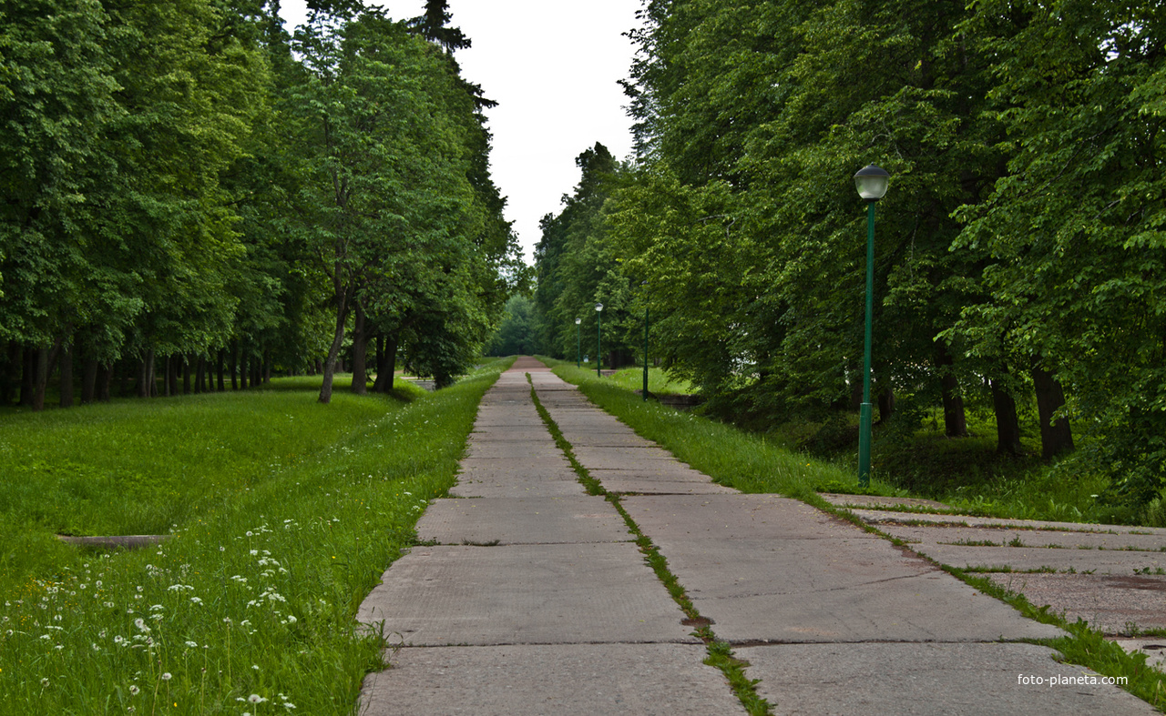 Аллея в Верхнем парке