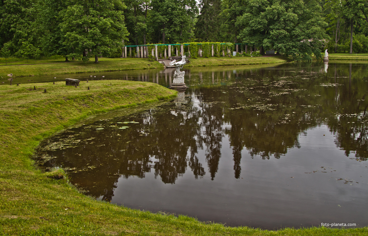 Китайский пруд