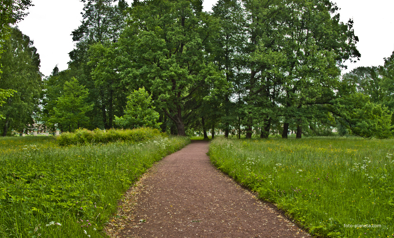 Дорожка в Верхнем парке