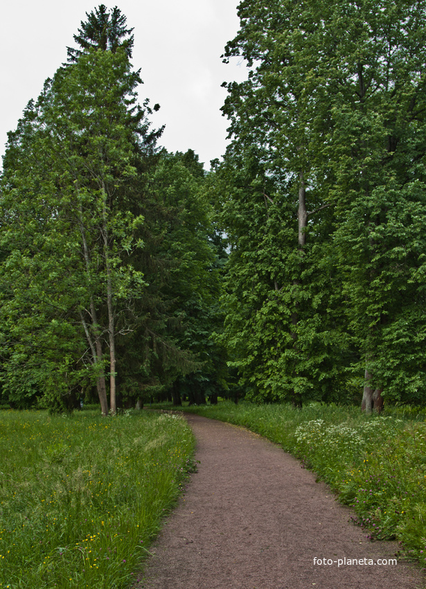 Дорожка в Верхнем парке