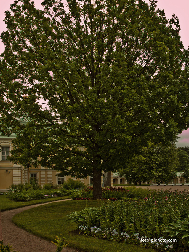 Сад Большого Меншиковского дворца