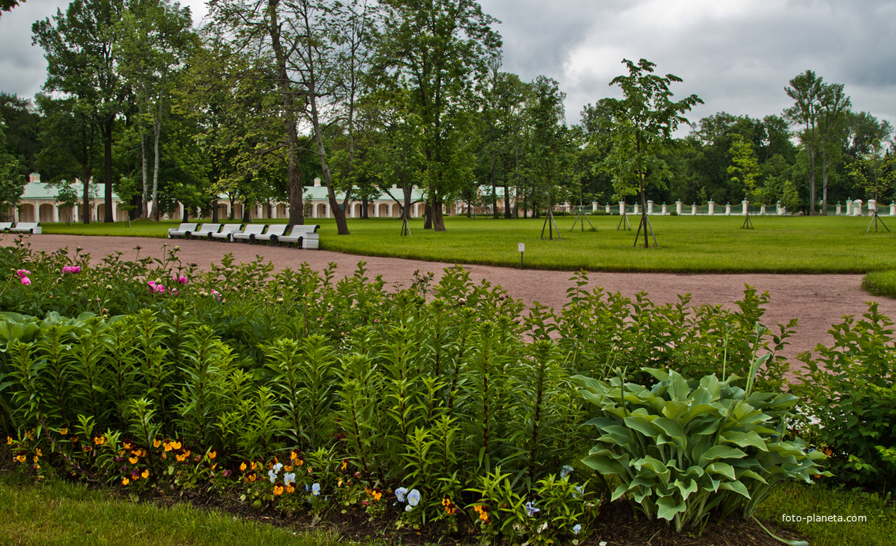 Сад Большого Меншиковского дворца