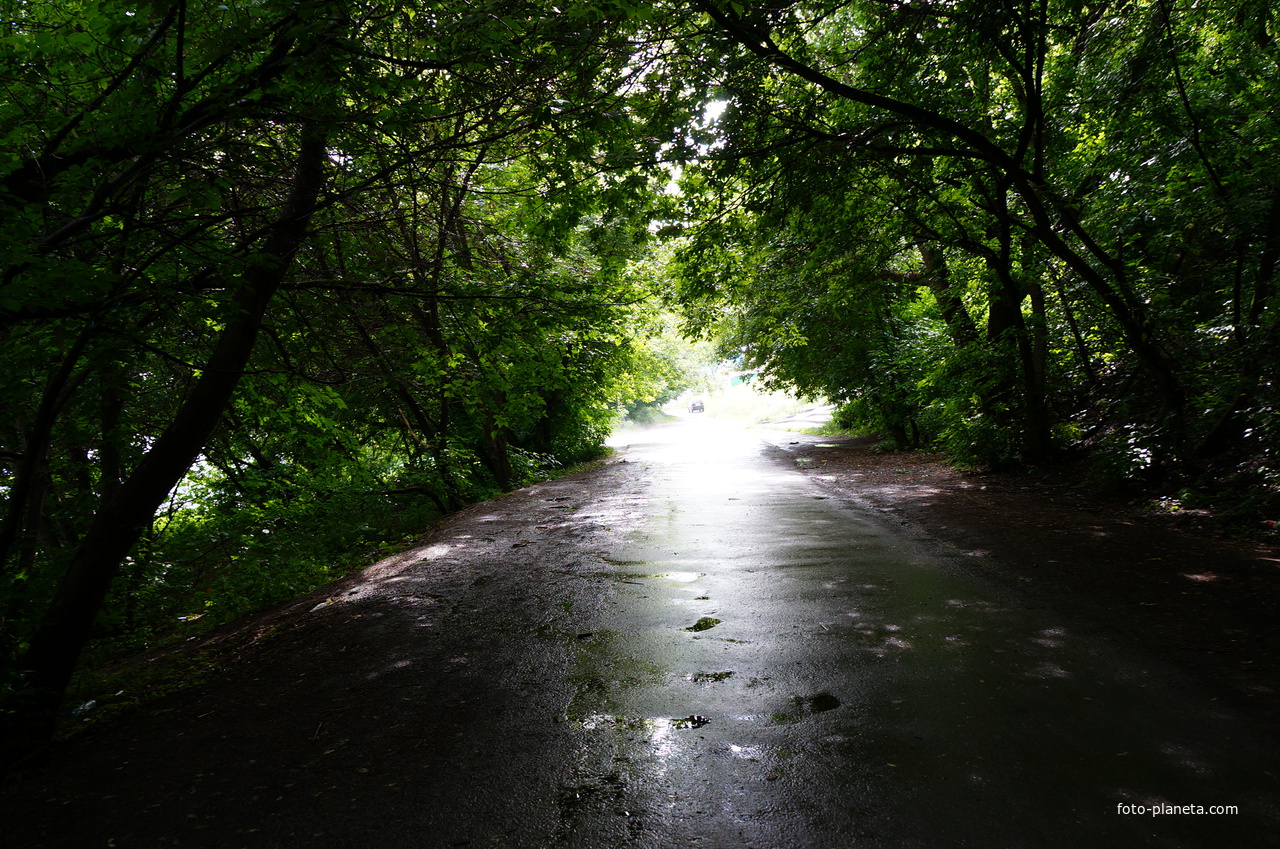 Набережная в Бочманово