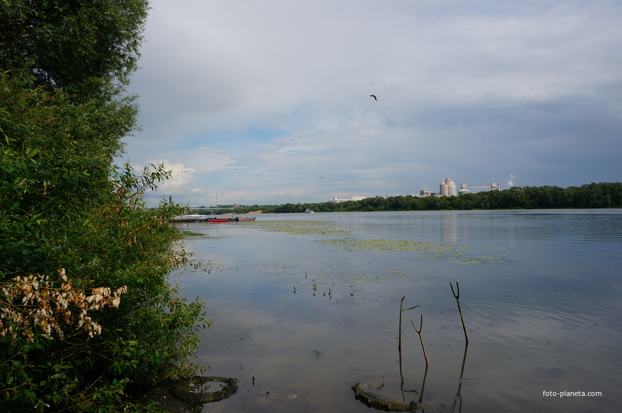 Река Ока в Пристань Бочманово