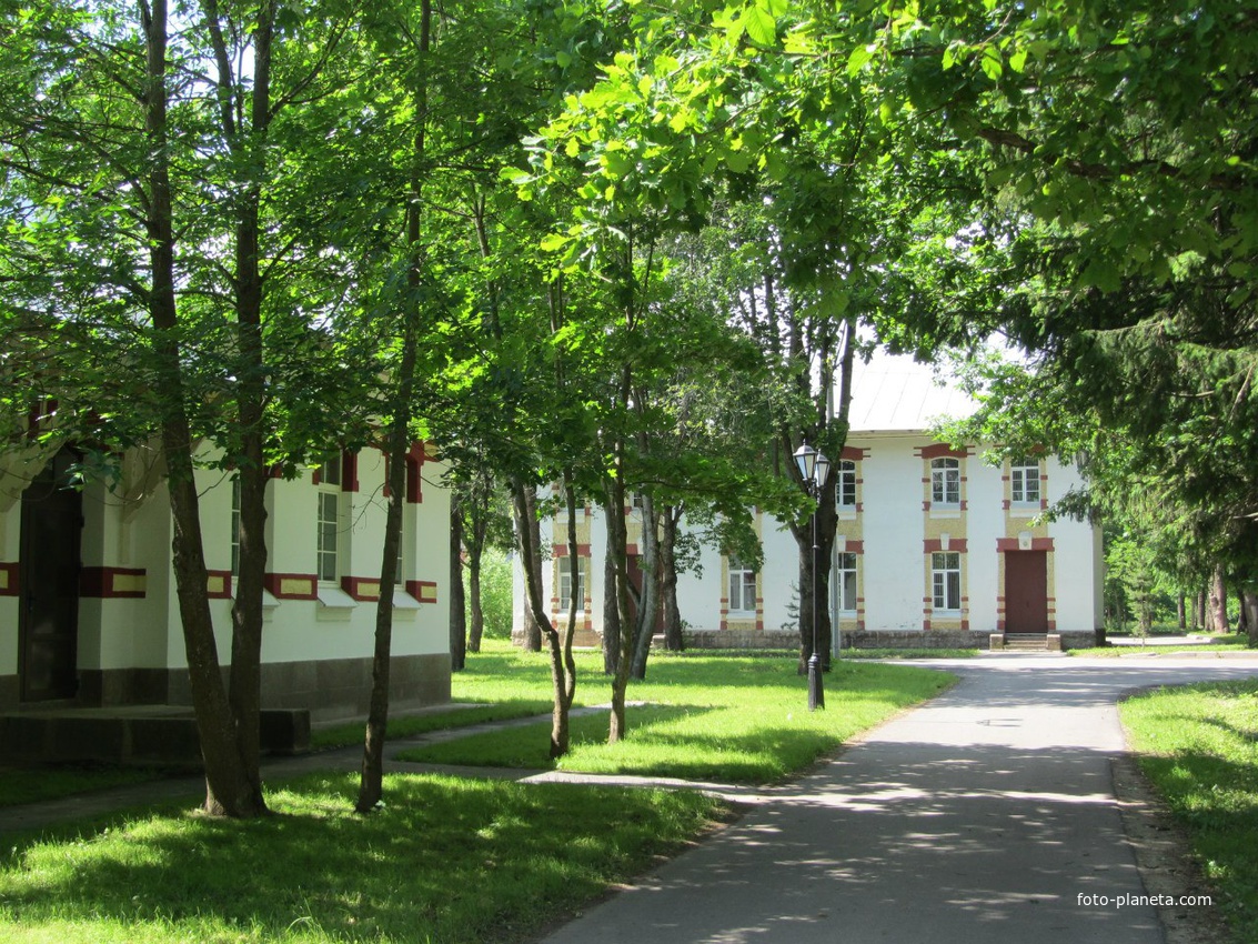 филиал медицинского колледжа и больничный театр