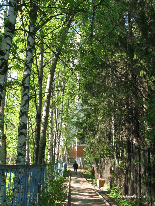 Сыктывкар 2014