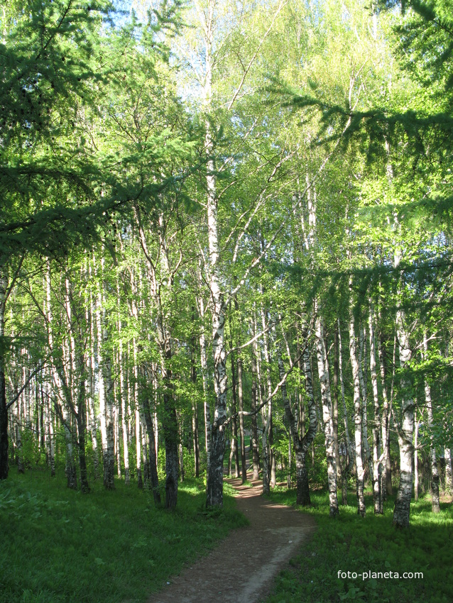 Сыктывкар 2014 - с ул. Карла Маркса