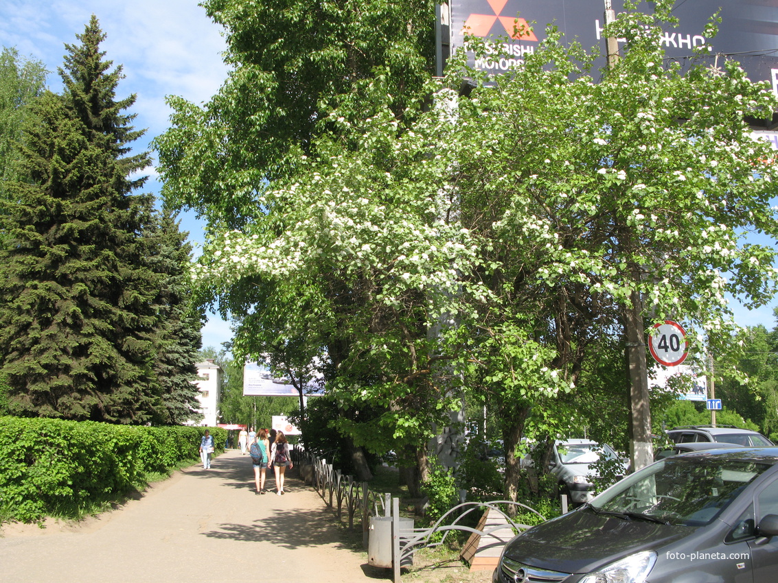 Сыктывкар 2014 - ул. Коммунистическая