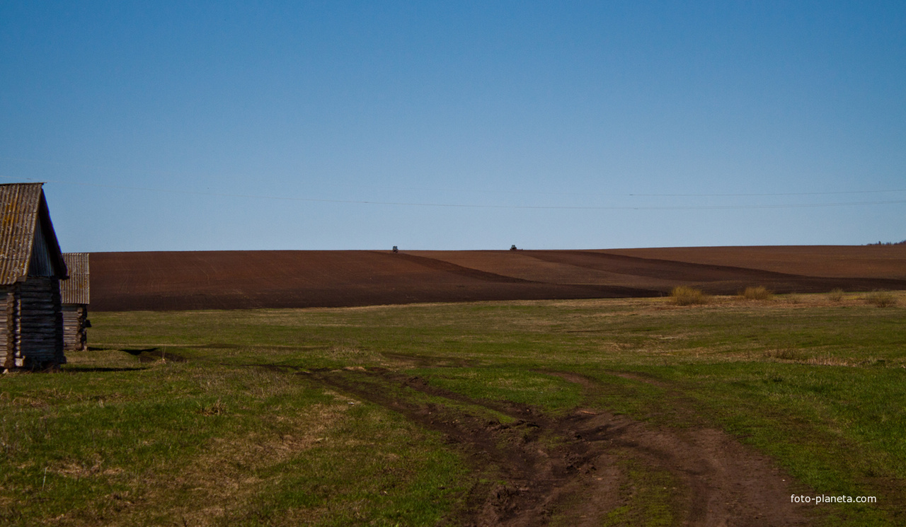Алтаевские поля