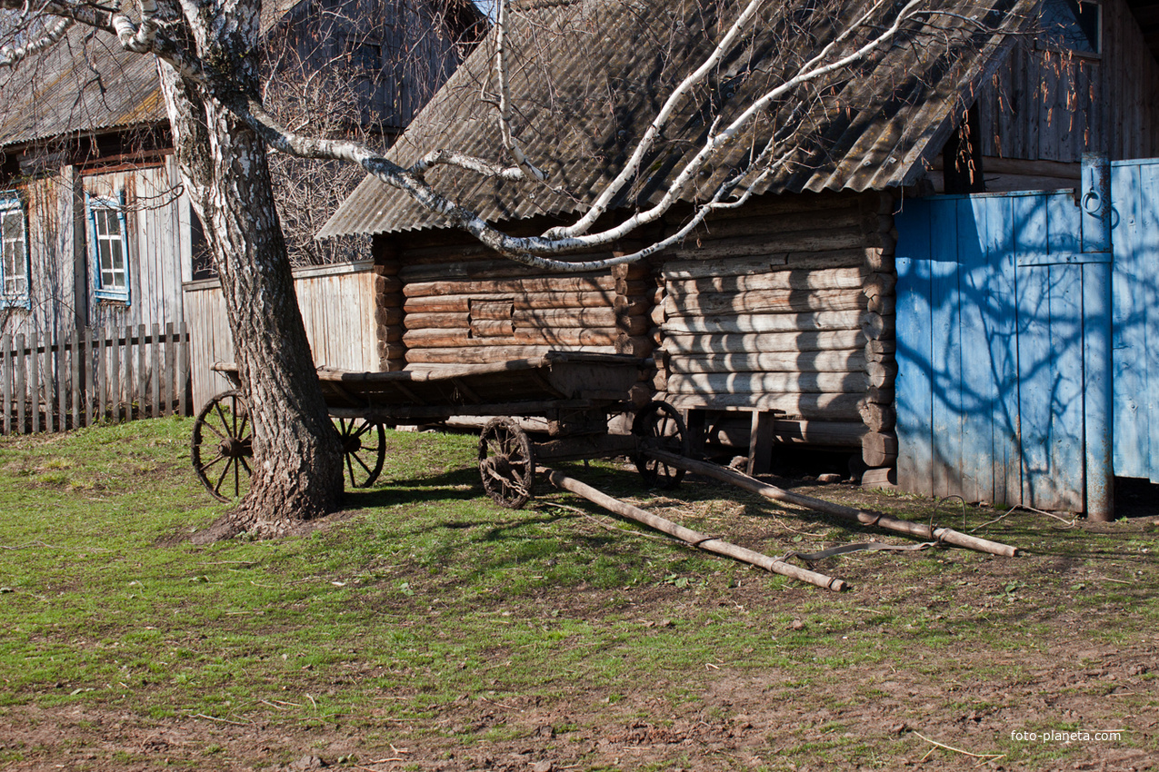 На улице Мира