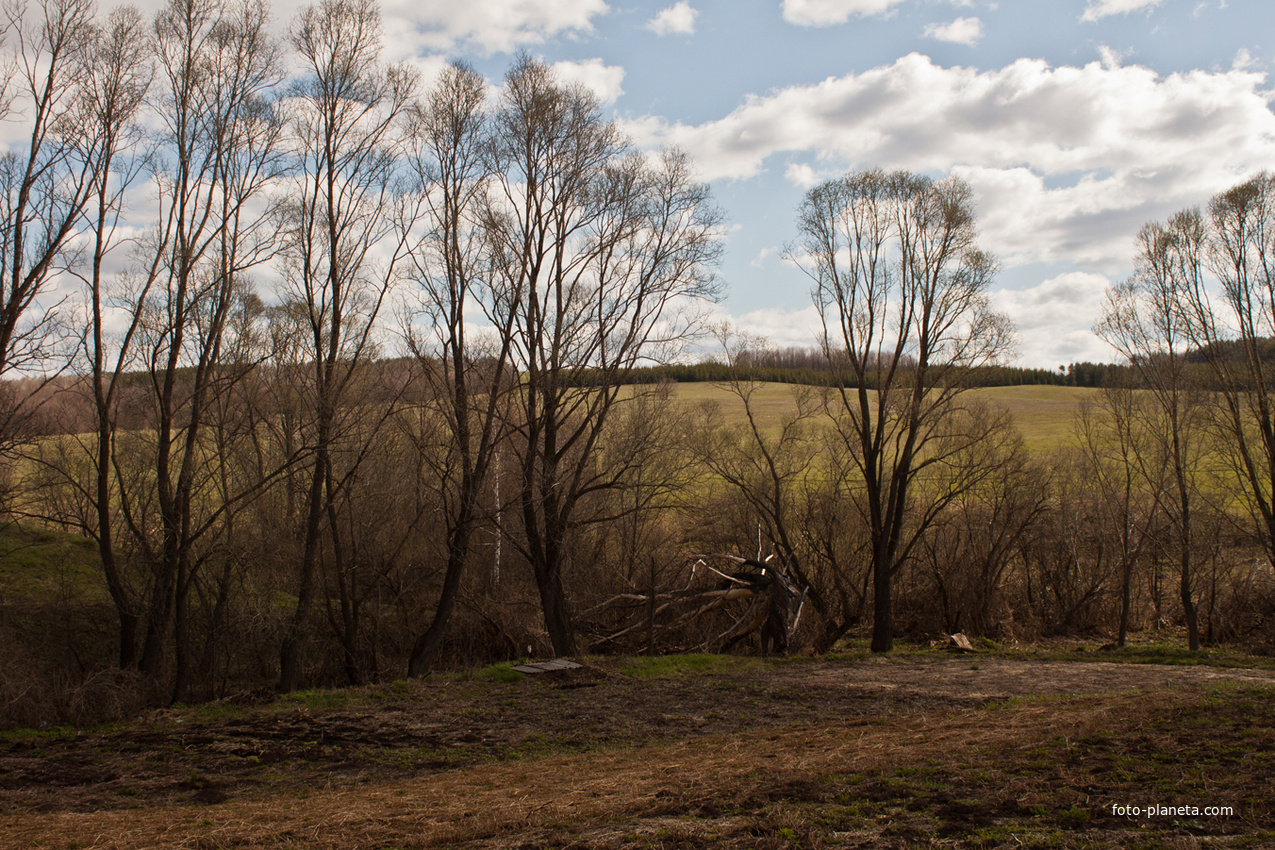 Природа Алтаево