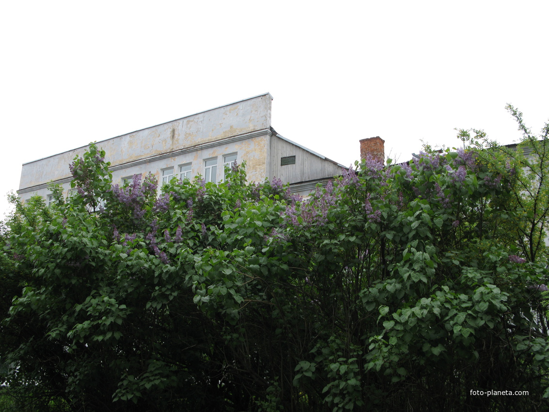 Сыктывкар 2014 - пединститут