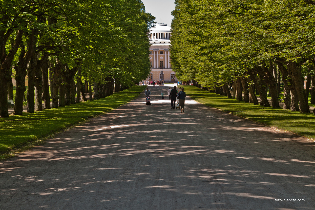 Главная аллея парка