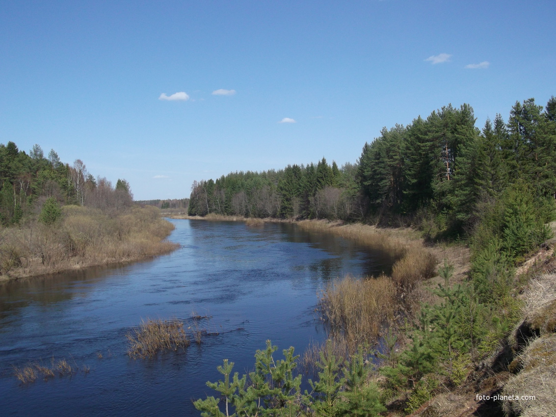 Река Царева у поселка Усть-Царева 10 мая 2014